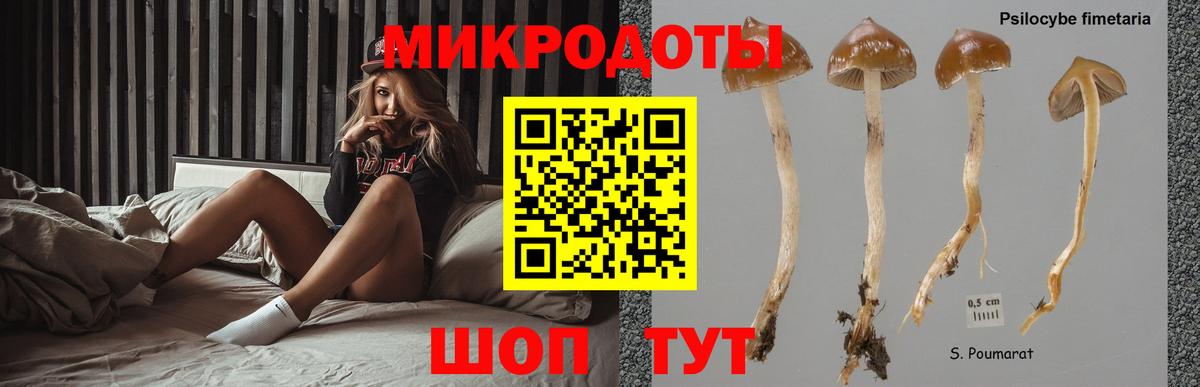Псилоцибиновые грибы ЛСД Кириши