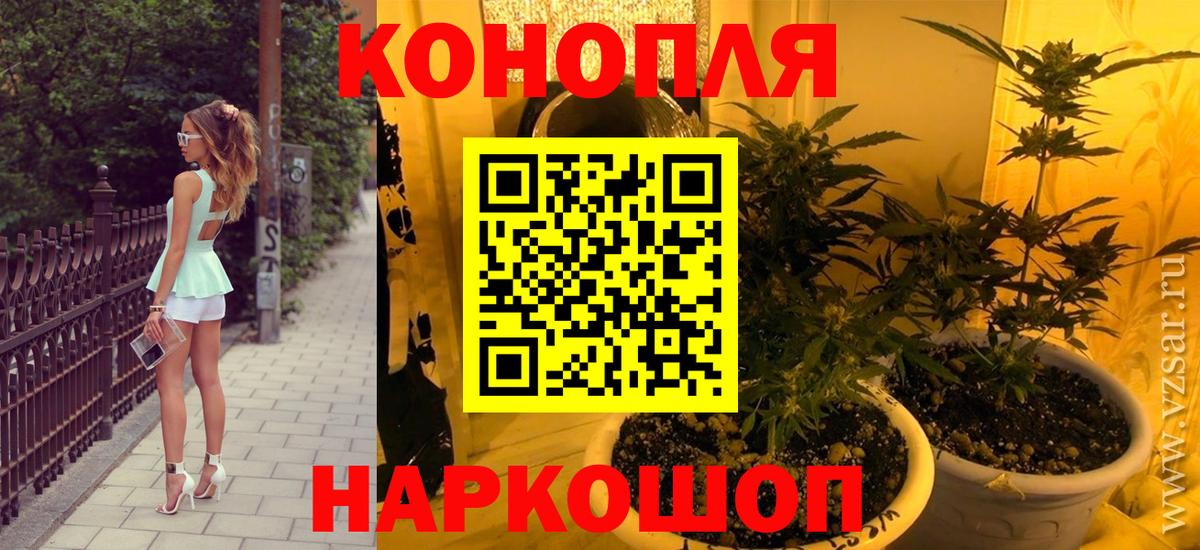 Бошки марихуана конопля Кириши
